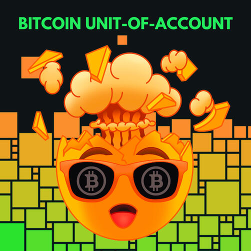 Bitcoin Unit of Account research project